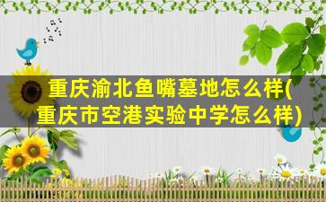 重庆渝北鱼嘴墓地怎么样(重庆市空港实验中学怎么样)