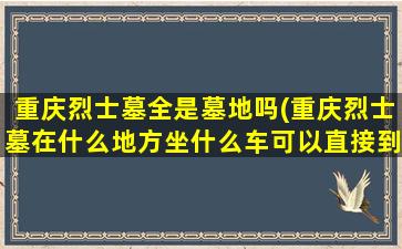 重庆烈士墓全是墓地吗(重庆烈士墓在什么地方坐什么车可以直接到达)