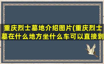 重庆烈士墓地介绍图片(重庆烈士墓在什么地方坐什么车可以直接到达)
