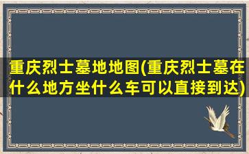 重庆烈士墓地地图(重庆烈士墓在什么地方坐什么车可以直接到达)