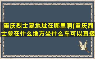 重庆烈士墓地址在哪里啊(重庆烈士墓在什么地方坐什么车可以直接到达)