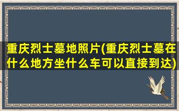 重庆烈士墓地照片(重庆烈士墓在什么地方坐什么车可以直接到达)