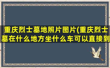 重庆烈士墓地照片图片(重庆烈士墓在什么地方坐什么车可以直接到达)