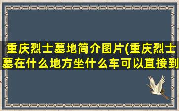 重庆烈士墓地简介图片(重庆烈士墓在什么地方坐什么车可以直接到达)