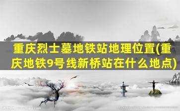 重庆烈士墓地铁站地理位置(重庆地铁9号线新桥站在什么地点)