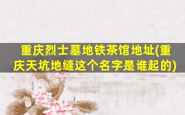 重庆烈士墓地铁茶馆地址(重庆天坑地缝这个名字是谁起的)