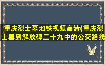 重庆烈士墓地铁视频高清(重庆烈士墓到解放碑二十九中的公交路线)