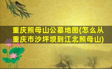 重庆照母山公墓地图(怎么从重庆市沙坪坝到江北照母山)