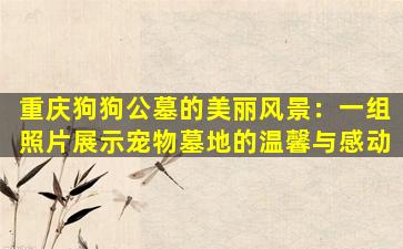 重庆狗狗公墓的美丽风景：一组照片展示宠物墓地的温馨与感动