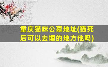 重庆猫咪公墓地址(猫死后可以去埋的地方他吗)