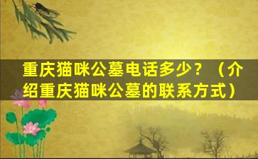 重庆猫咪公墓电话多少？（介绍重庆猫咪公墓的联系方式）