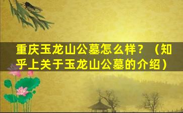重庆玉龙山公墓怎么样？（知乎上关于玉龙山公墓的介绍）