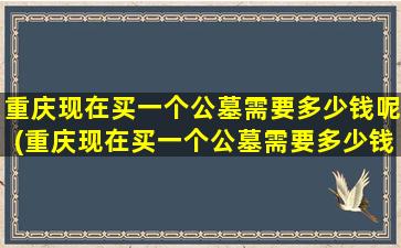 重庆现在买一个公墓需要多少钱呢(重庆现在买一个公墓需要多少钱费用)