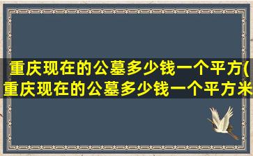 重庆现在的公墓多少钱一个平方(重庆现在的公墓多少钱一个平方米)