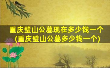 重庆璧山公墓现在多少钱一个(重庆璧山公墓多少钱一个)