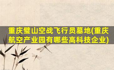 重庆璧山空战飞行员墓地(重庆航空产业园有哪些高科技企业)