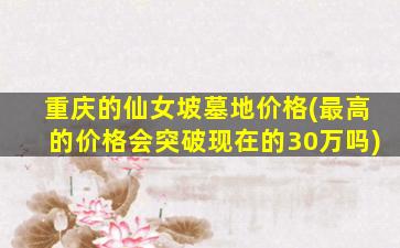 重庆的仙女坡墓地价格(最高的价格会突破现在的30万吗)