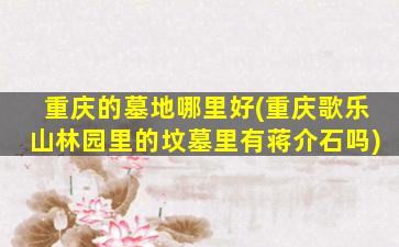 重庆的墓地哪里好(重庆歌乐山林园里的坟墓里有蒋介石吗)