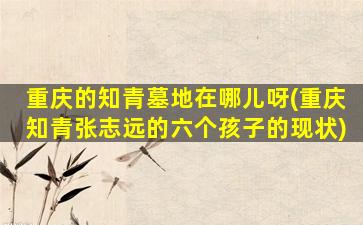 重庆的知青墓地在哪儿呀(重庆知青张志远的六个孩子的现状)
