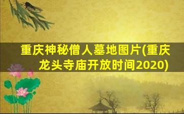 重庆神秘僧人墓地图片(重庆龙头寺庙开放时间2020)