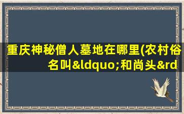 重庆神秘僧人墓地在哪里(农村俗名叫“和尚头”的是一种什么植物分布在哪里有什么用处)