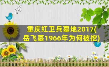 重庆红卫兵墓地2017(岳飞墓1966年为何被挖)