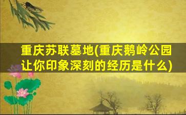 重庆苏联墓地(重庆鹅岭公园让你印象深刻的经历是什么)