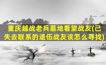 重庆越战老兵墓地看望战友(己失去联系的退伍战友该怎么寻找)