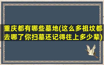 重庆都有哪些墓地(这么多祖坟都去哪了你扫墓还记得往上多少辈)