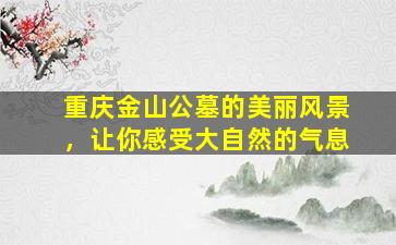 重庆金山公墓的美丽风景，让你感受大自然的气息