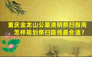 重庆金龙山公墓清明祭扫指南，怎样规划祭扫路线最合适？