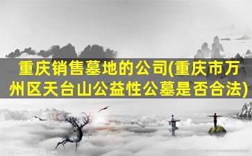 重庆销售墓地的公司(重庆市万州区天台山公益性公墓是否合法)
