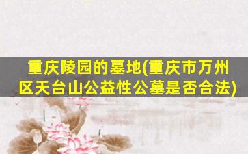 重庆陵园的墓地(重庆市万州区天台山公益性公墓是否合法)
