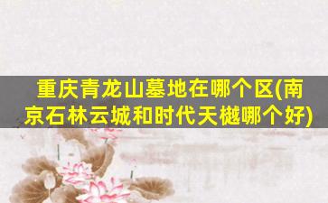 重庆青龙山墓地在哪个区(南京石林云城和时代天樾哪个好)