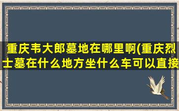 重庆韦大郎墓地在哪里啊(重庆烈士墓在什么地方坐什么车可以直接到达)