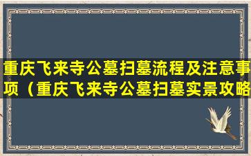 重庆飞来寺公墓扫墓流程及注意事项（重庆飞来寺公墓扫墓实景攻略）