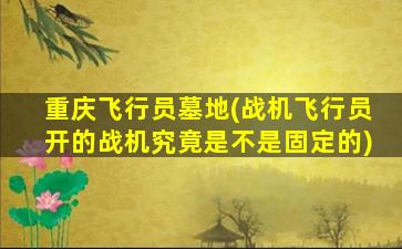 重庆飞行员墓地(战机飞行员开的战机究竟是不是固定的)