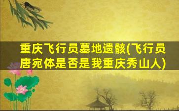重庆飞行员墓地遗骸(飞行员唐宛体是否是我重庆秀山人)