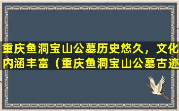 重庆鱼洞宝山公墓历史悠久，文化内涵丰富（重庆鱼洞宝山公墓古迹探访）