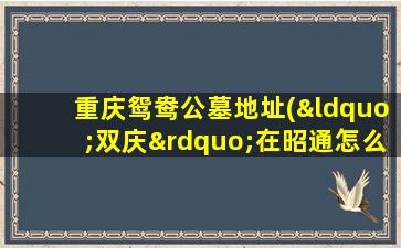 重庆鸳鸯公墓地址(“双庆”在昭通怎么玩)
