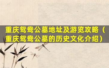 重庆鸳鸯公墓地址及游览攻略（重庆鸳鸯公墓的历史文化介绍）