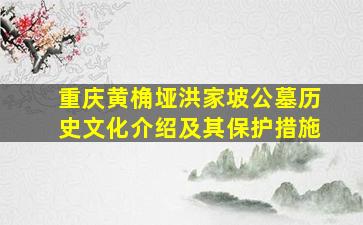 重庆黄桷垭洪家坡公墓历史文化介绍及其保护措施