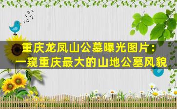 重庆龙凤山公墓曝光图片：一窥重庆最大的山地公墓风貌