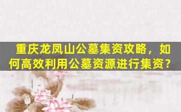 重庆龙凤山公墓集资攻略，如何高效利用公墓资源进行集资？