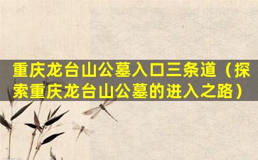 重庆龙台山公墓入口三条道（探索重庆龙台山公墓的进入之路）