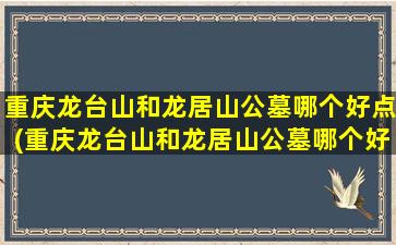 重庆龙台山和龙居山公墓哪个好点(重庆龙台山和龙居山公墓哪个好些)