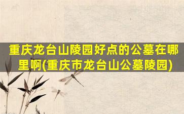 重庆龙台山陵园好点的公墓在哪里啊(重庆市龙台山公墓陵园)