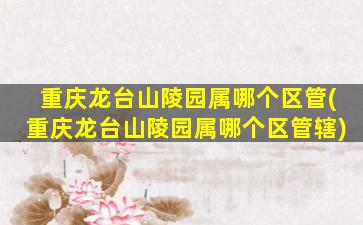 重庆龙台山陵园属哪个区管(重庆龙台山陵园属哪个区管辖)