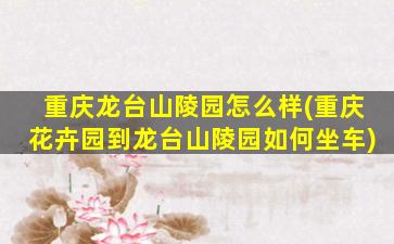重庆龙台山陵园怎么样(重庆花卉园到龙台山陵园如何坐车)