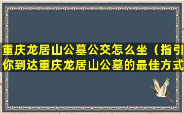 重庆龙居山公墓公交怎么坐（指引你到达重庆龙居山公墓的最佳方式）